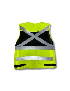Geólogo Ejecutivo Fullgen Amarillo 2