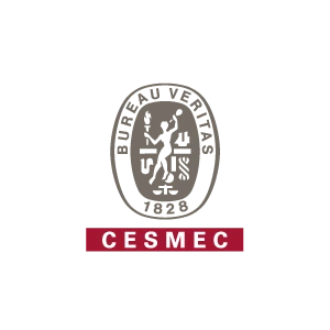 ancorseguridad - cesmec